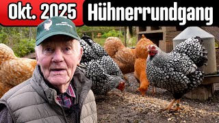 Unser Edu (87) ist zurück! | Der langersehnte Herbstrundgang mit Zwerg-Hühnern