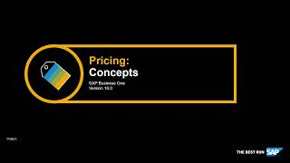 SAP Business One Version 10.0  - Pricing : Concepts Training