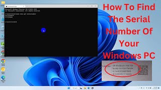 how to find the serial number of your windows pc