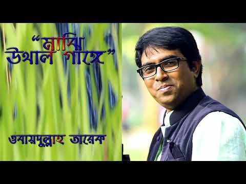 bangla-islamic-folk-song-|-মাঝি-উথাল-গাঙ্গে-|-obaidullah-tarek-|-official-islamic-music-song-|