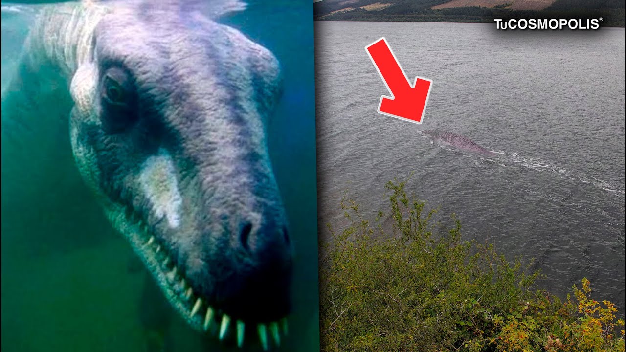 El monstruo del lago Ness existe | El Souvenir