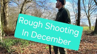 Rough Shooting in December