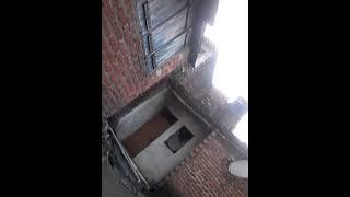 5 years ka Bachcha blogging karte huye...