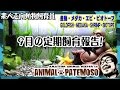 【定期飼育報告】2016年9月を終えてみて 【GOLDFISH 金魚】【メダカ・Killifish】【ミナミヌマエビ Shrimp】【BIOTOPE ビオトープ】
