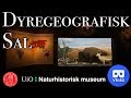 VR180 Naturhistorisk Museum - Dyregeografisk sal (in Norwegian)