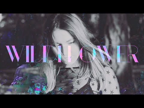 Palm Haze — Palm Haze – Wildflower (Music Video)