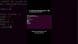T• Bot chạy xong phải biết tự tổng kết | W8 (Ubuntu Workbench) #ubuntu #terminal #python #linux