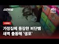무너진 천장서 '툭'…가정집에 등장한 비단뱀, 꼬리와 몸통 잡아 생포 / JTBC 사건반장
