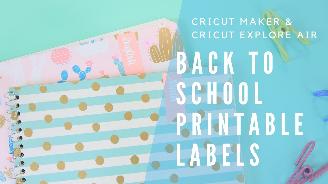 Personalized School Stickers / Labels (Printed/Shipped), Back to