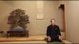 The Fascinating World of Bonsai ile ilgili video