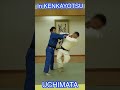 UCHIMATA #shorts#judo#mma