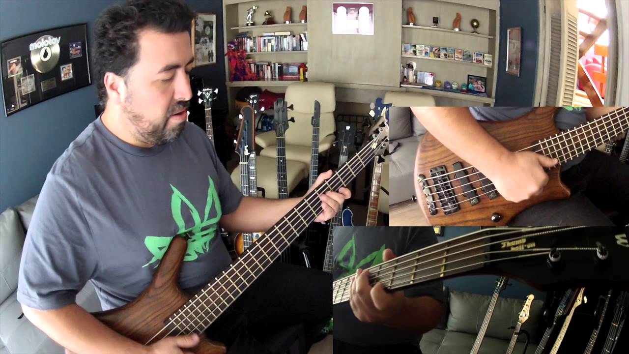 MOLOTOQUES APOCALIPSHIT