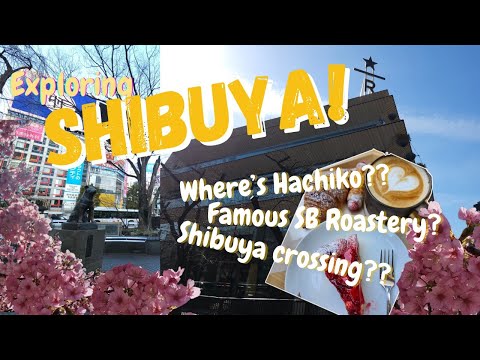 Shibuya (Hachiko, Yoshinoya, SB Roastery) - Tokyo Japan Vlog 2024