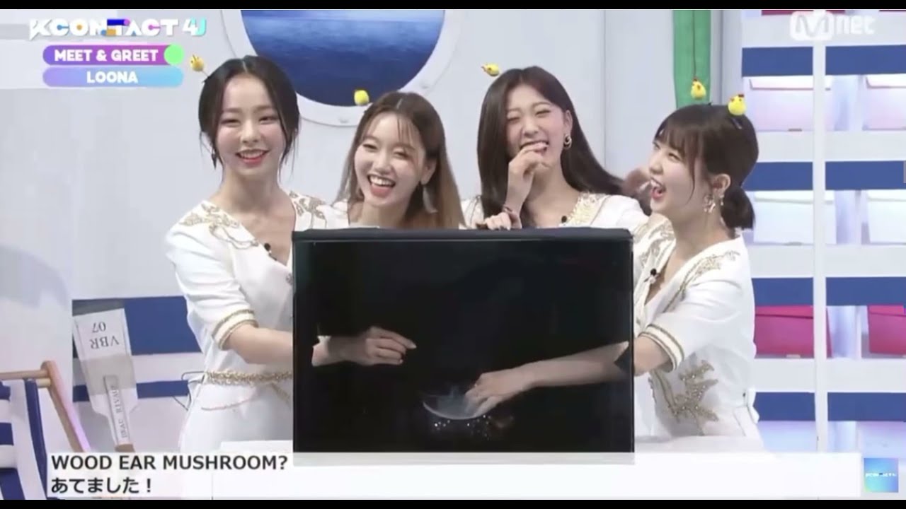 vivi guesses the object in 4 seconds