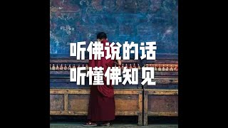 201903 听佛说的话 听懂佛知见51086