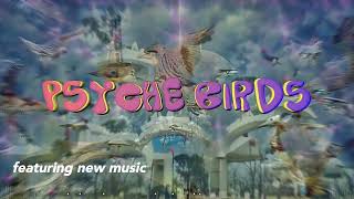 Watch PSYCHE BIRDS Trailer