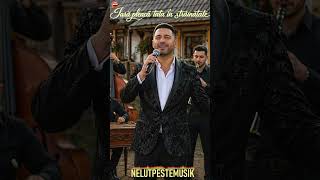 Iara pleaca tata in strainatate - Nelut Peste Musik (Muzica lautareasca de calitate)