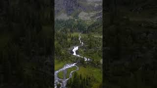 🌲Природный заповедник "Катунский"