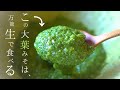 【大葉大量消費】砂糖、油もなし!もうひとつの【大葉味噌】