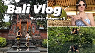 Bali Vlog (Geciken Balayı Tatilimiz!) Eşim, kedi dışkısından yapılan kahveyi içti!