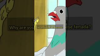 Pigeon Norm MacDonald: Fertada