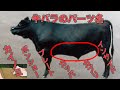【肉の名前】 牛バラ肉の解体 各パーツの名前付き 肉を知ろう