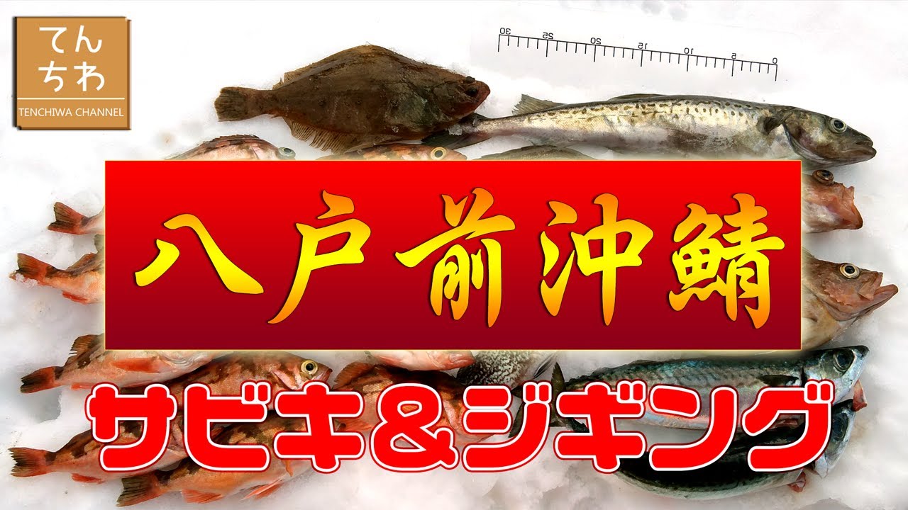 青森 釣り 階上沖船5目釣り サビキで根魚 スロージギングでタラを狙ってみた件 八戸前沖鯖が食べたい Youtube