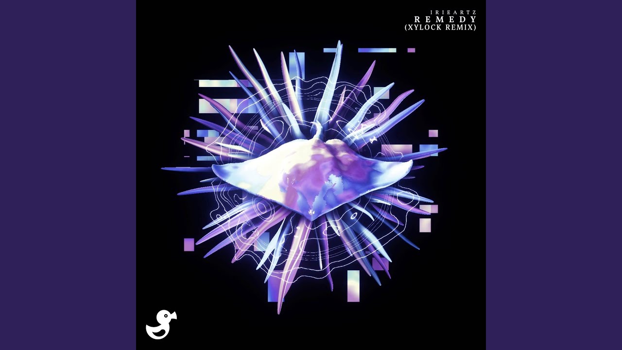 Remedy (Xylock Remix)