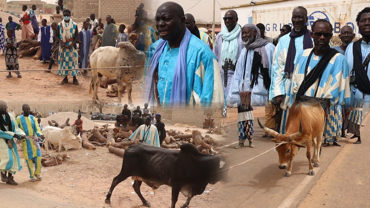 Diébëlé Adiya Ndogou Wakeur Baye Cheikh Ndao Ci Serigne Amdy Khady Fall 