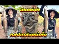 น้ำลึกแค่เข่า ปลาช่อนเพียบ FISHINGEZ วันที่ 10-8-67