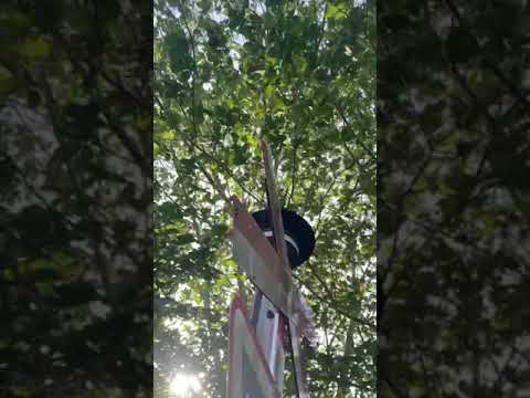 The DEEPEST Sounding LK Lauritz Knudsen Mechanical Bell Is Located In Benzonvej Dronningborg 