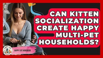 Can Kitten Socialization Create Happy Multi-pet Households? - Happy Cat Handbook