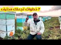7 خطوات تصل الى الاحتراف في تربيه النحل