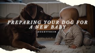 A Smooth Transition: Preparing Your Dog for a New Baby