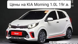 Цены на KIA Morning 1.0L 19г.в.из Кореи. Ежедневный обзор цен на автомобили из Японии, Кореи.
