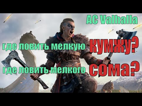 Где ловить Сома? Где ловить Кумжу? Assassin's cread Valhalla