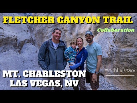 Vidéo: Les meilleures randonnées à Mount Charleston, Nevada