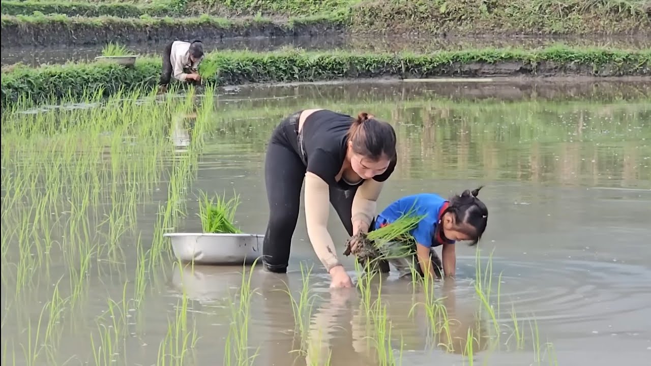 Timelapse A single mother and her daughter, and their days of working to make a living.