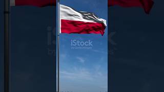 Pistolety - 1 część Polskiej broni używanej przez WP. #fyp #wp #war #poland #subscribe