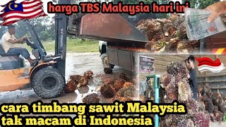 harga sawit segar Malaysia hari ini⁉️ Malaysia serba mesin turunkan sawit