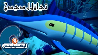14 أوكتونوتس | سمك أبو سيف القاتل | السلسلة 2 | الحلقة