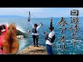 エギング【シャローエリア全てキロアップ】春イカ捕獲 eging squid 後編