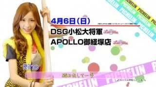 2014年 PICHELIN TVCM 3月31日~4月6日調査予定日