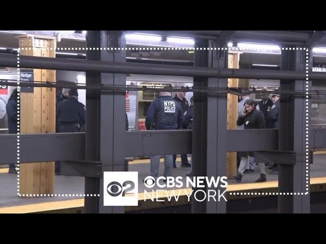 Man Shot And Killed On 3 Train In Brooklyn