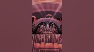 Alan Walker ana Ava Max-Alone Pt.ii by Color Music Choir...😄✌  Subscribe my channel  for more videos