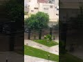 Rain in Ahmedabad #ahmedabadcity #streetsofahmedabad #ahmedabadrain