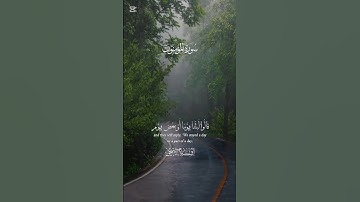 ﴿ إني جزيتهم اليوم بما صبروا أنهم هم االفائزون ﴾ سورة المؤمنون #إسلام_صبحي