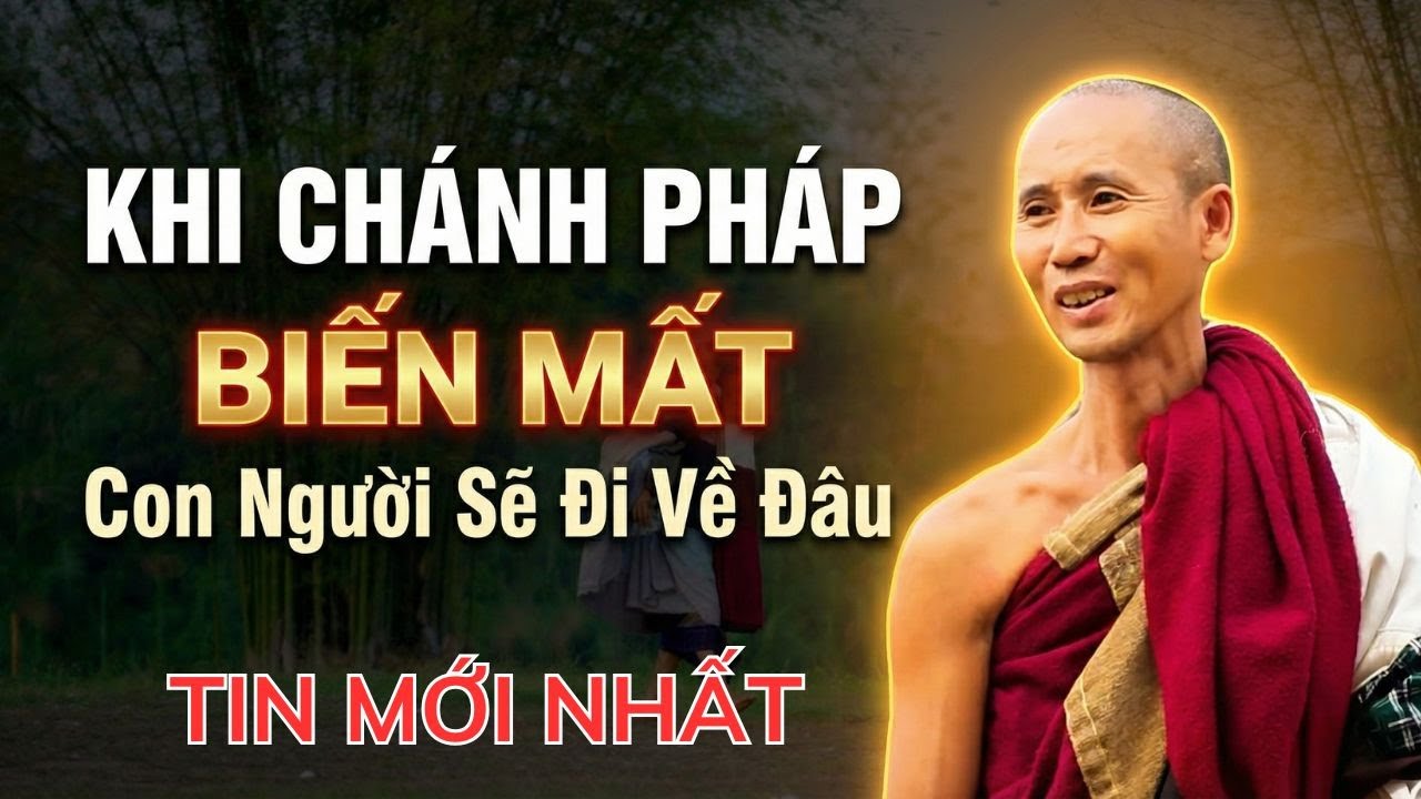 Khi Chánh Pháp Biến Mất, Con Người Sẽ Đi Về Đâu? Sư Minh Tuệ Trả Lời Nghe Sâu Lắng Lòng Mình