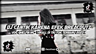 Dj Qhelfin Terbaru 2023  Cantik Karena Efek breackdutz Kane 