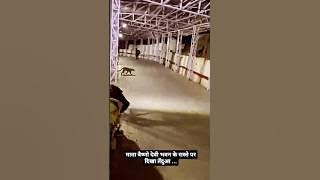 Ma vaishno Devi Sher aa gaya #shots #view #vaishnodevi